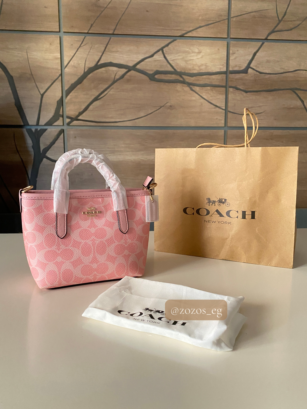 Coach Mini City Tote