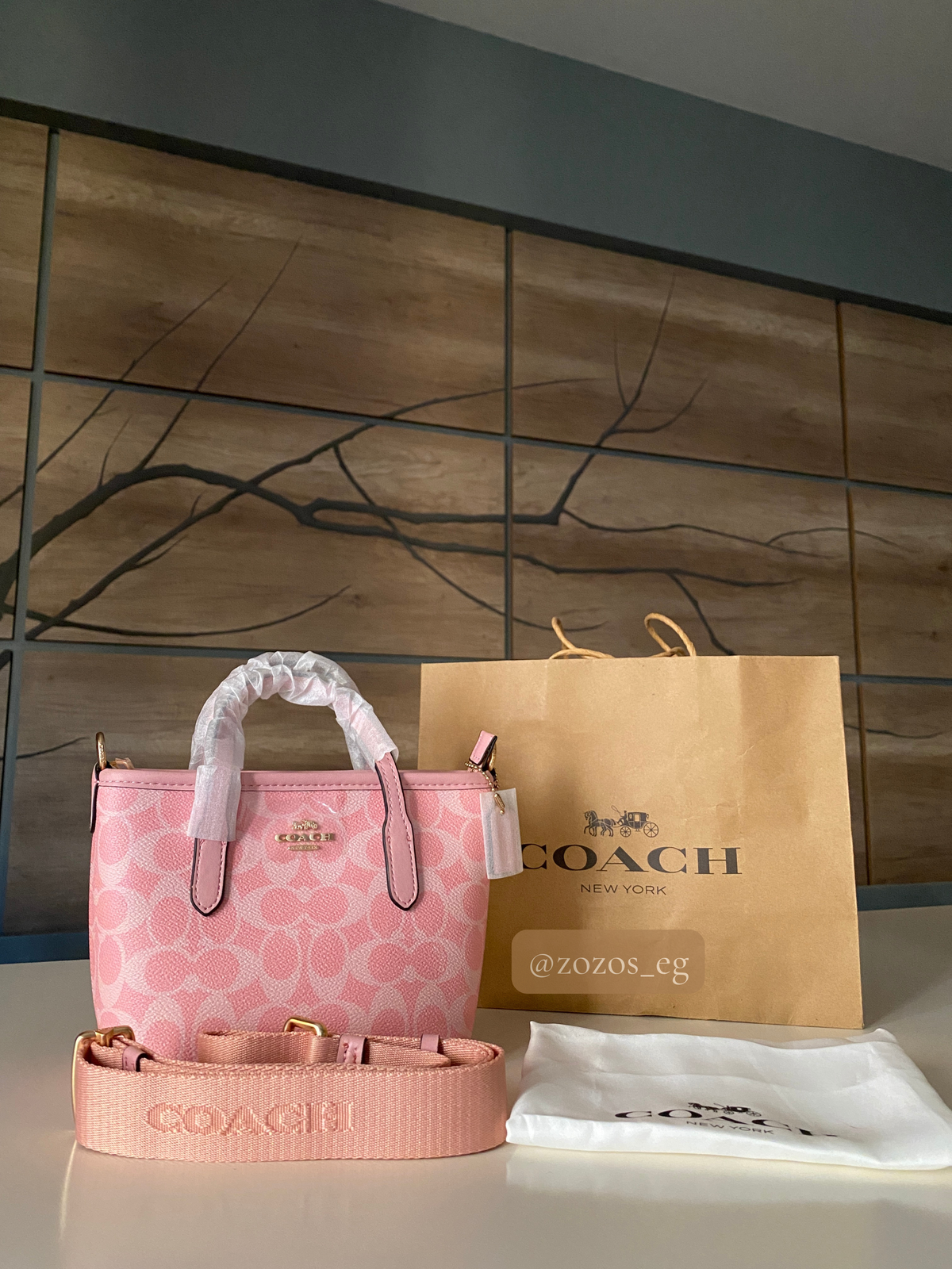 Coach Mini City Tote