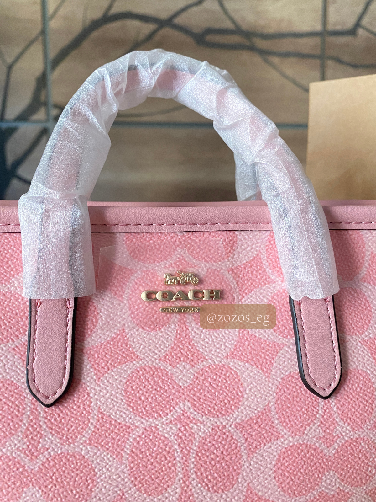 Coach Mini City Tote