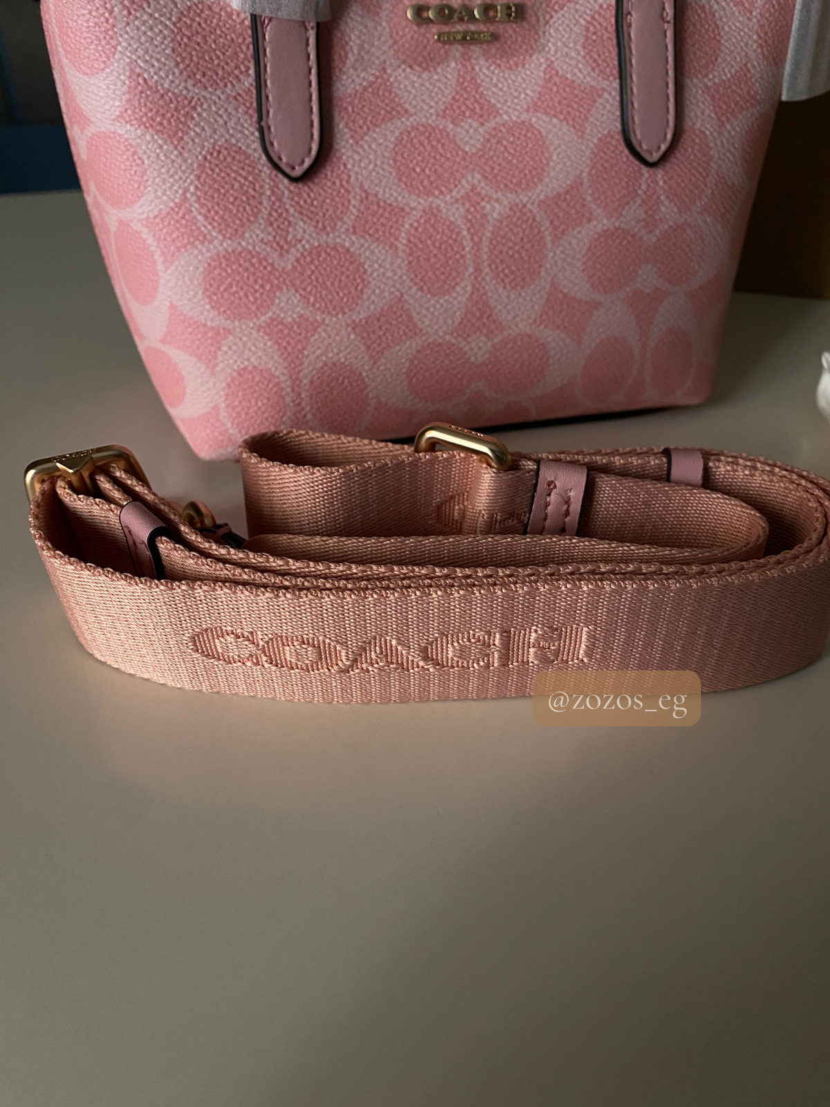 Coach Mini City Tote