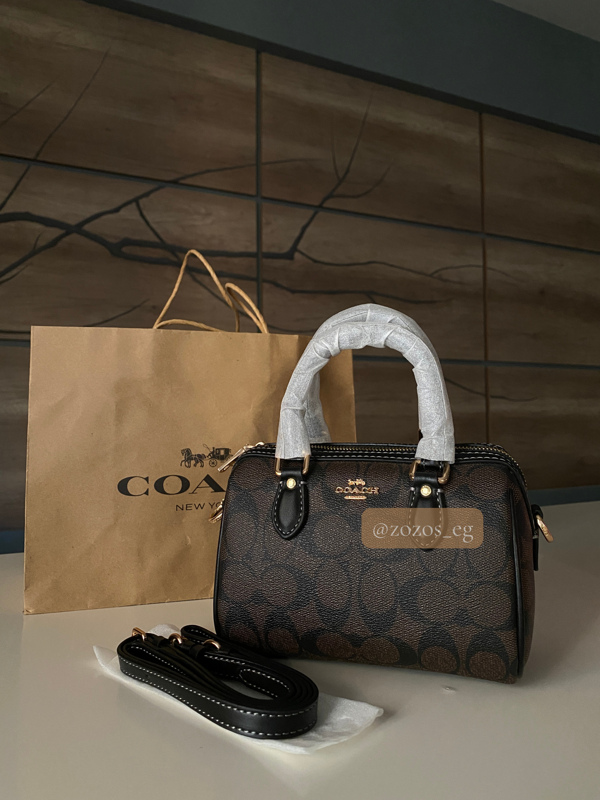 Coach Mini Rowan Bag in Signature Canvas