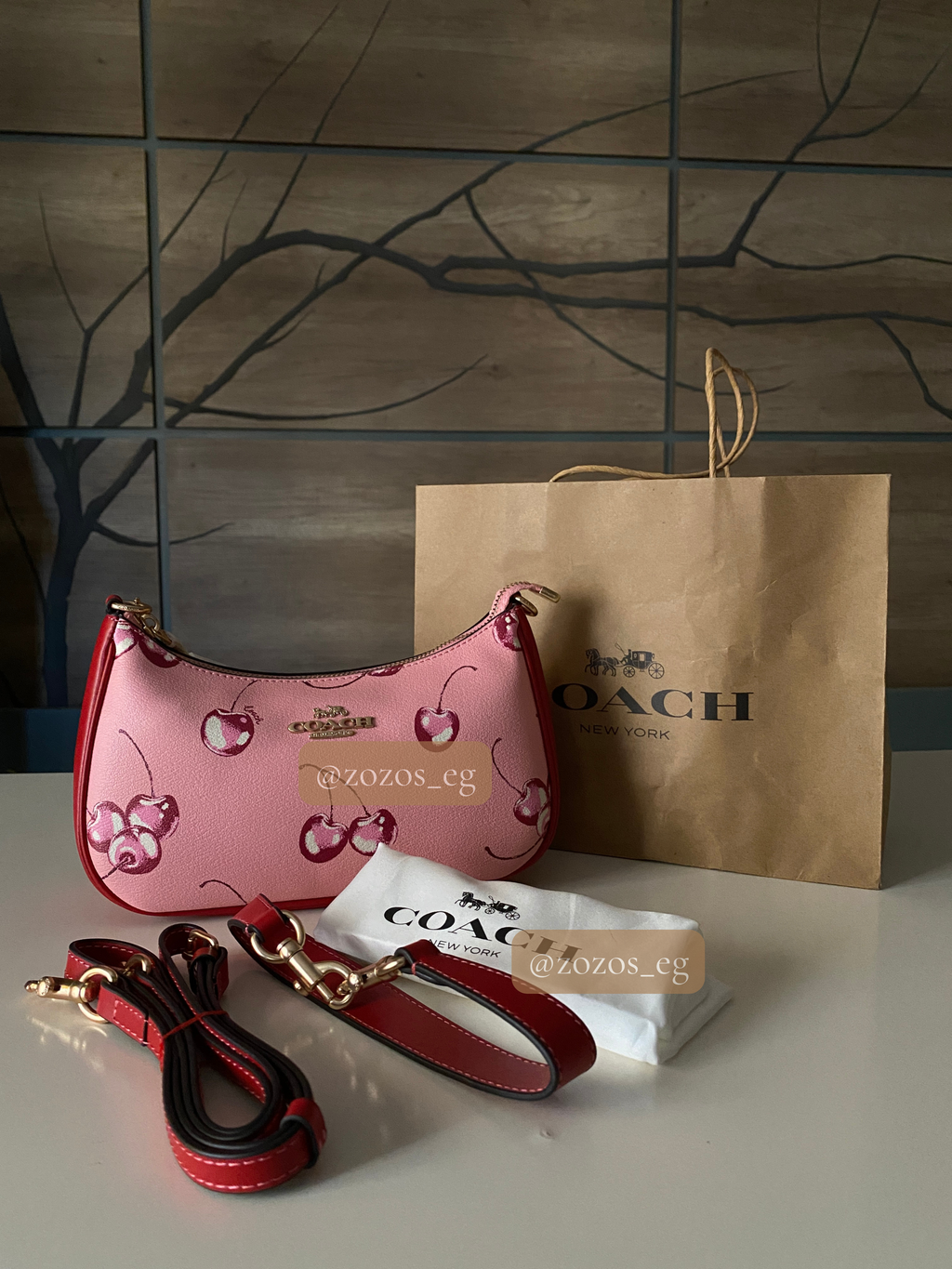 Coach Teri Shoulder Bag with Cherry Print