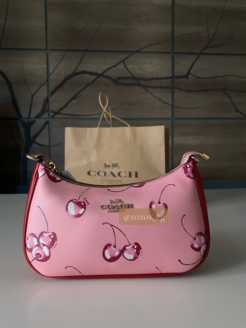 Coach Teri Shoulder Bag with Cherry Print