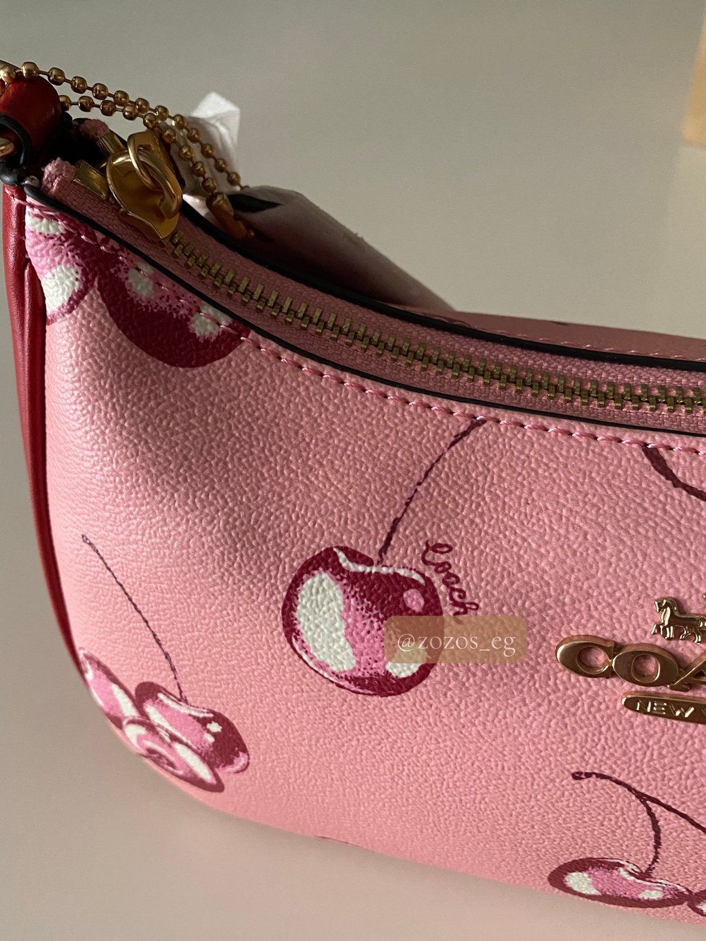 Coach Teri Shoulder Bag with Cherry Print