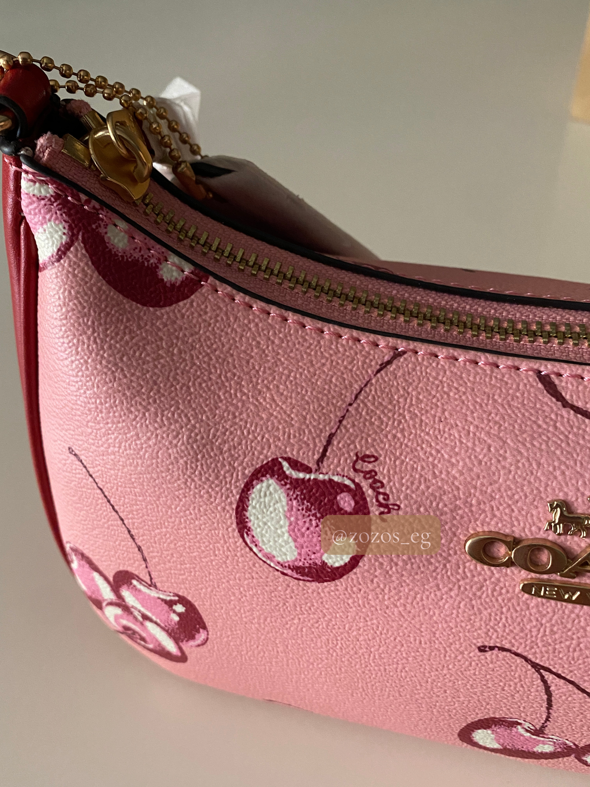 Coach Teri Shoulder Bag with Cherry Print