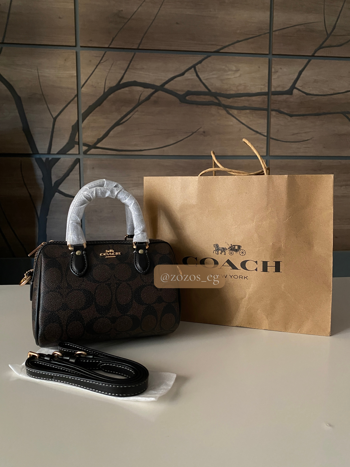 Coach Mini Rowan Bag in Signature Canvas