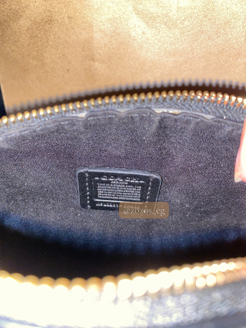 Coach Mini Rowan Bag in Signature Canvas
