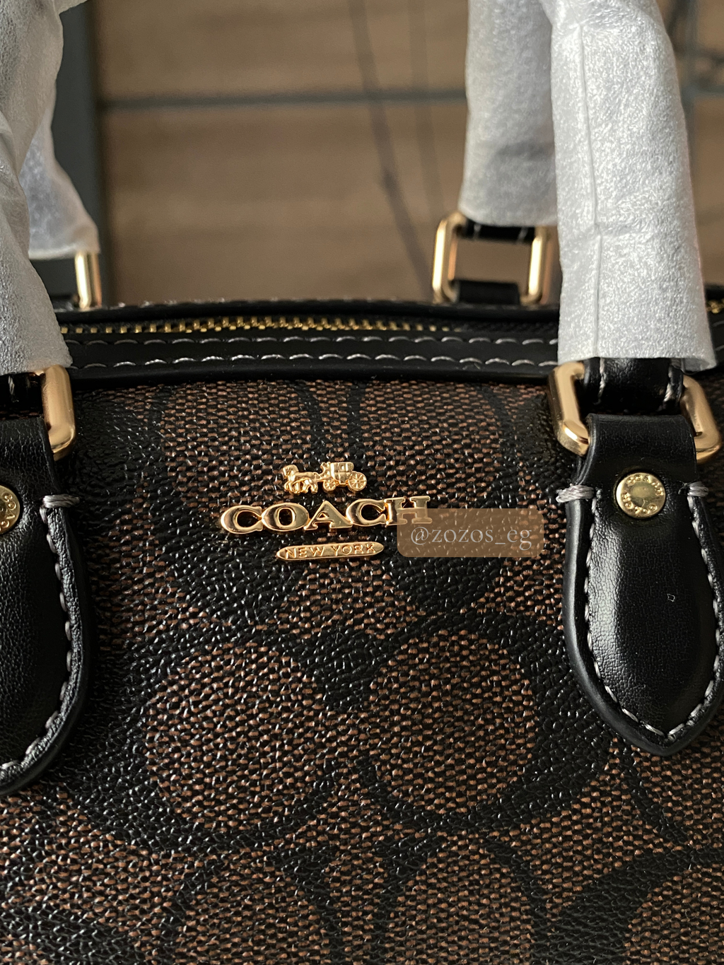 Coach Mini Rowan Bag in Signature Canvas