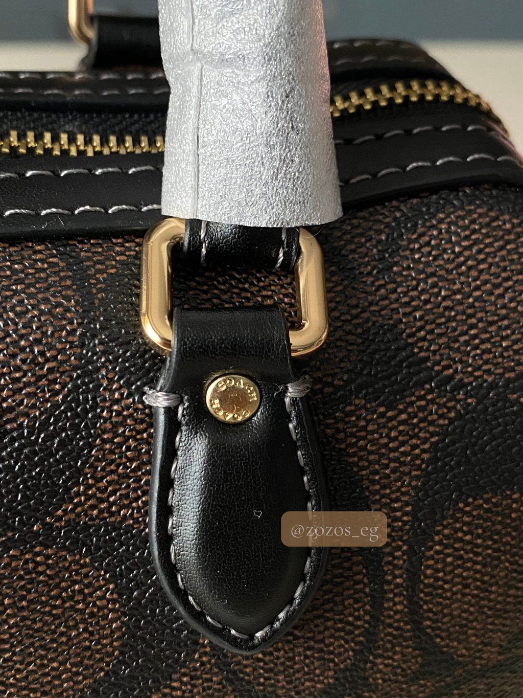 Coach Mini Rowan Bag in Signature Canvas