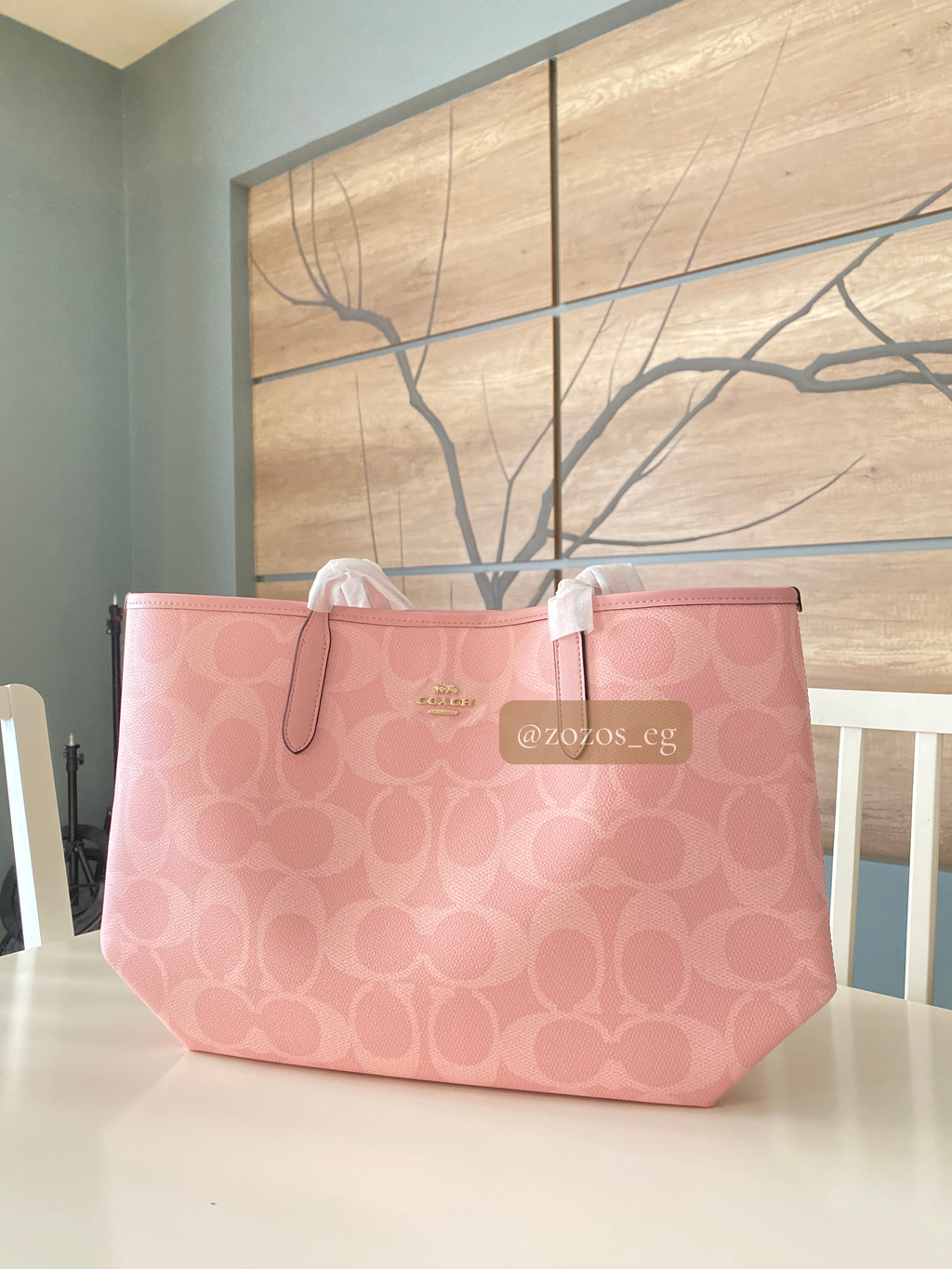 Coach Large City Tote