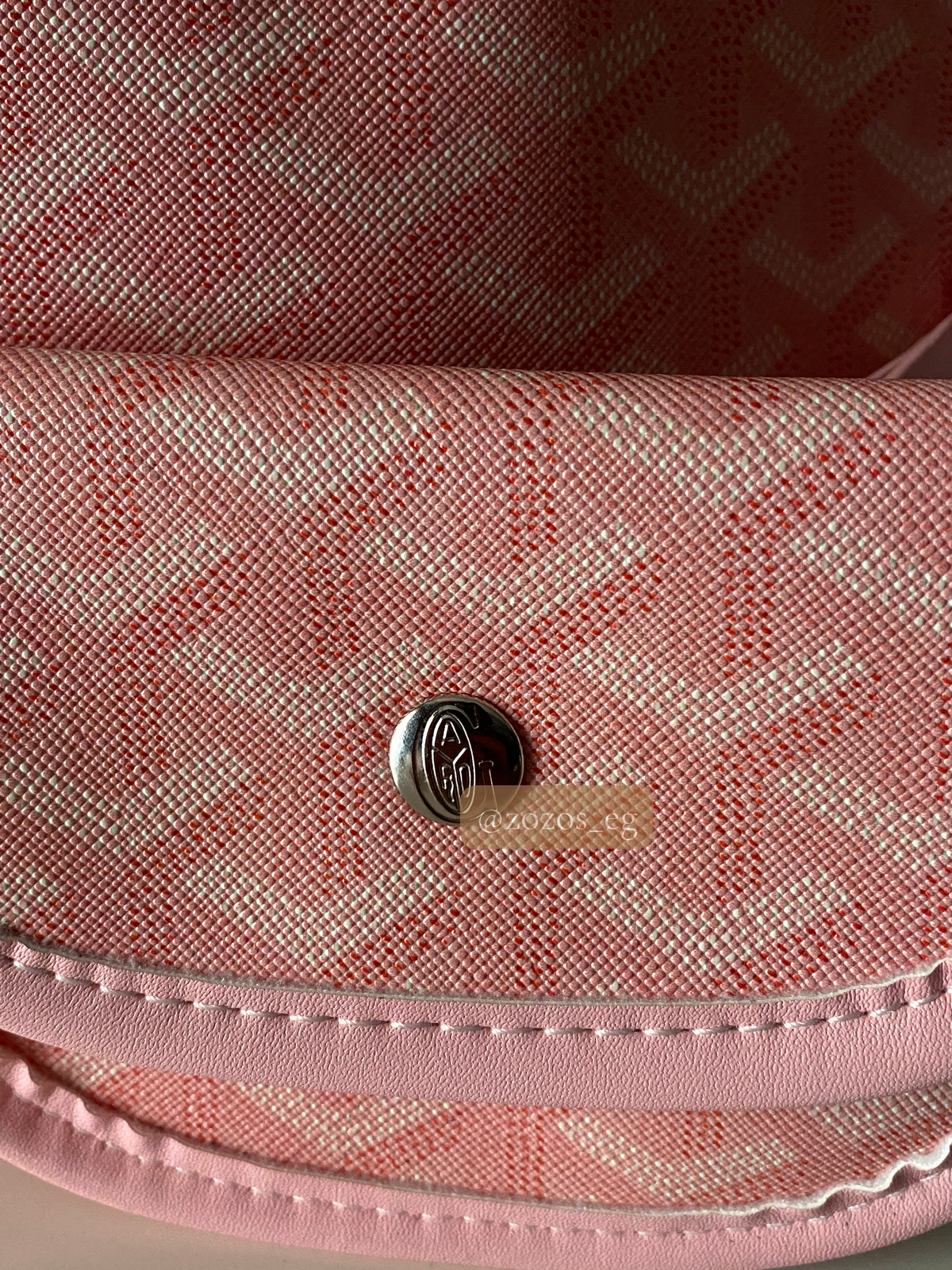 Goyard Limited Edition Anjou Mini Bag